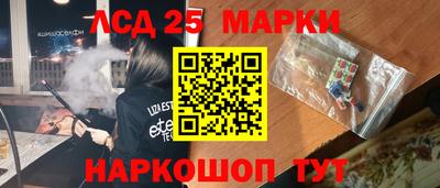 винт Сланцы