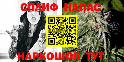 винт Сланцы