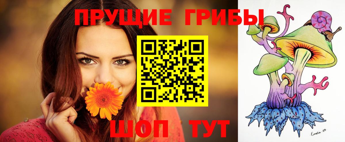 Псилоцибиновые грибы прущие грибы  Вход с VPN  закладка  Отрадный 